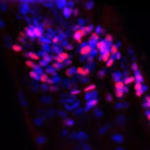 Meet your Posher, Julianna